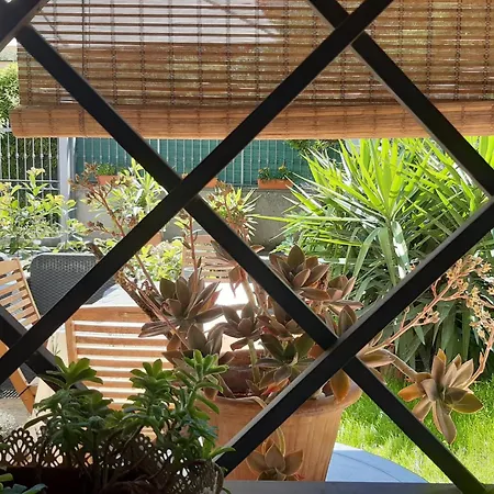 Nocleg ze śniadaniem Fabiola Marino