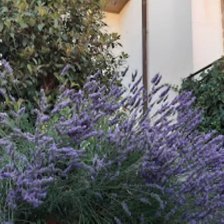 Fabiola Bed & Breakfast 5*