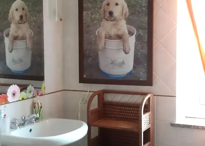 Alojamento de Acomodação e Pequeno-almoço Fabiola 5*