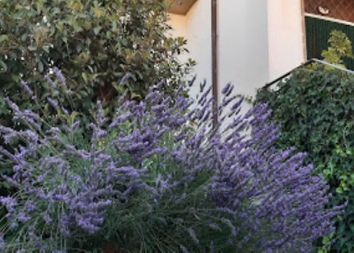 Fabiola Alojamento de Acomodação e Pequeno-almoço 5*